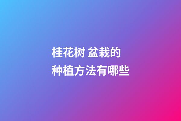 桂花树 盆栽的种植方法有哪些